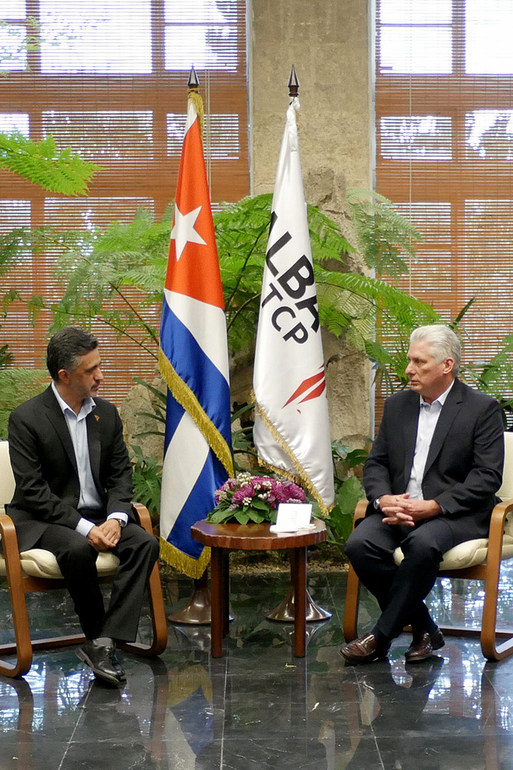 Presidente Miguel Díaz-Canel recibe al Secretario Ejecutivo del ALBA-TCP