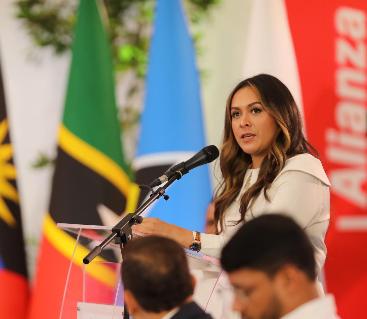 Honduras: ‘We will defend the processes of each nation and President Maduro’