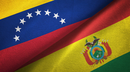 Bolivia strongly condemns coup attempts in Venezuela