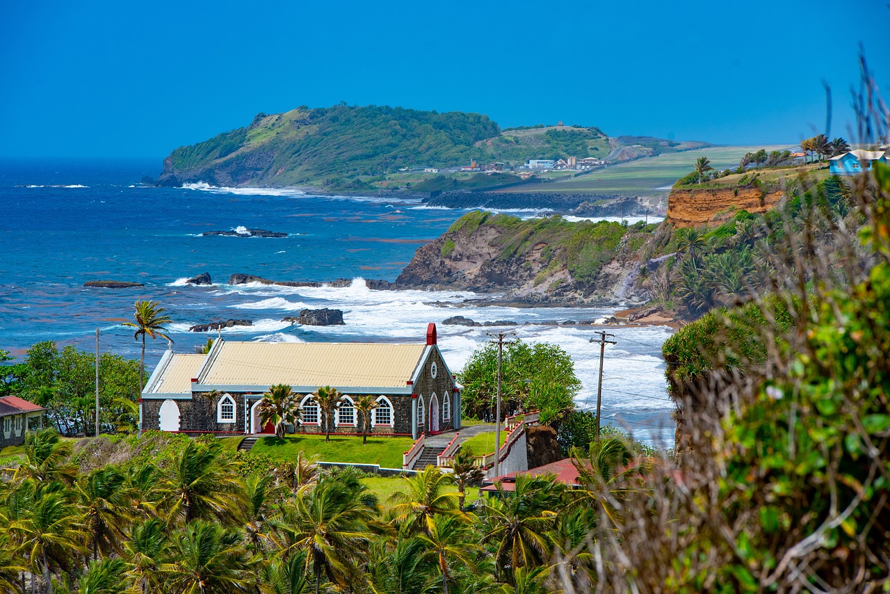 Saint Vincent and the Grenadines in ALBA-TCP: A Caribbean Gem and Model of Solidarity